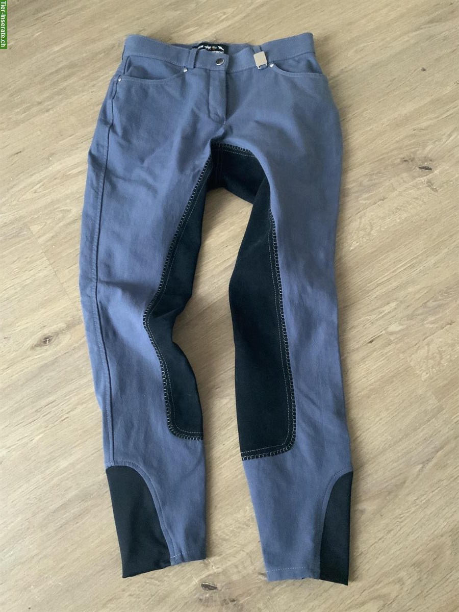 Bild 3: Reithose Jeans, Grösse 36 / Reithose blau, Grösse 38