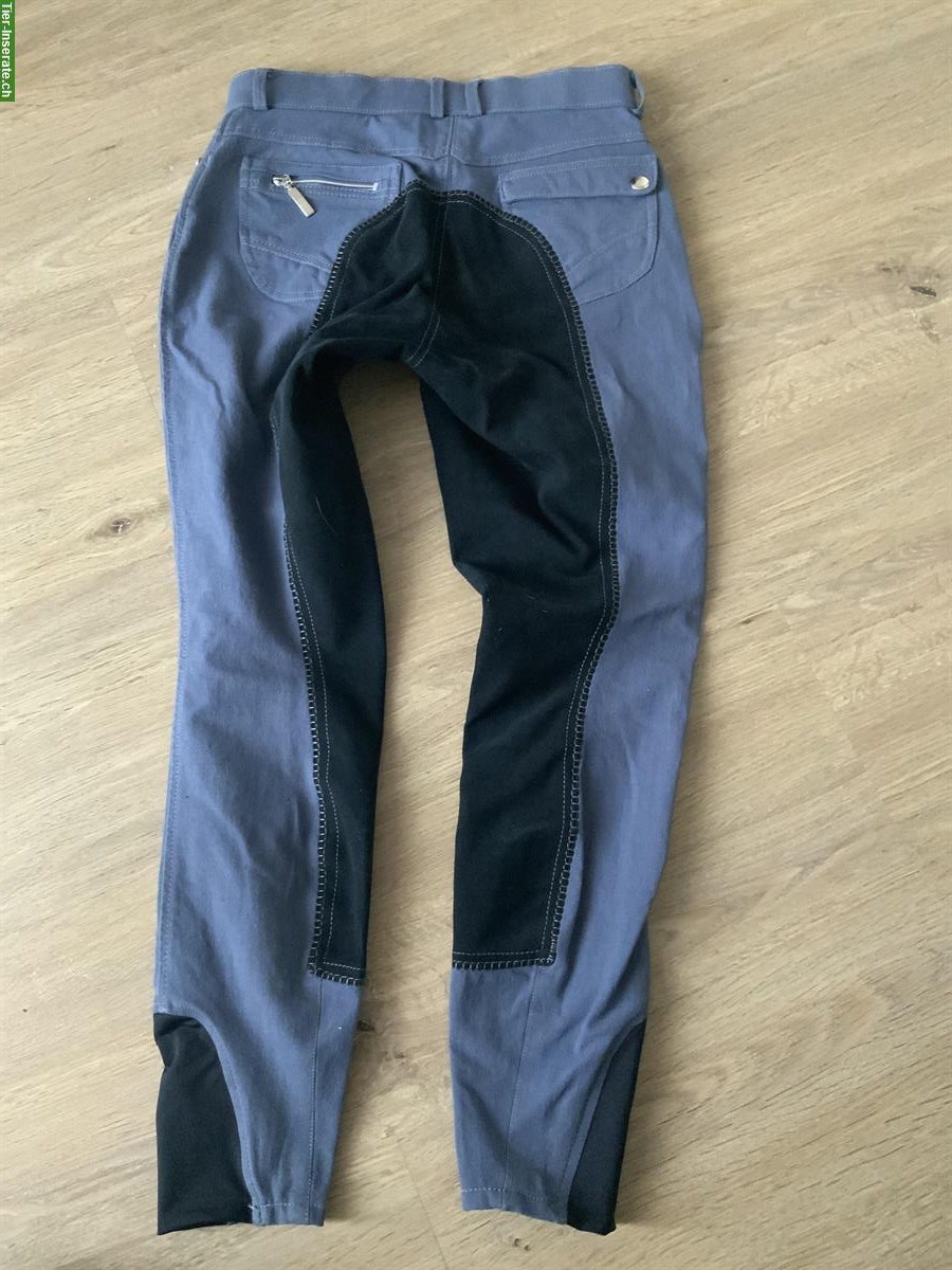 Bild 4: Reithose Jeans, Grösse 36 / Reithose blau, Grösse 38