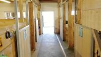 Suchen für Stallarbeiten auf Pferdepension in Kriens Luzern