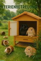 Biete Ferienbetreuung für Kaninchen & Meerschweinchen