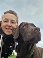 Hundetrainer - Hundeschule Free Doggo