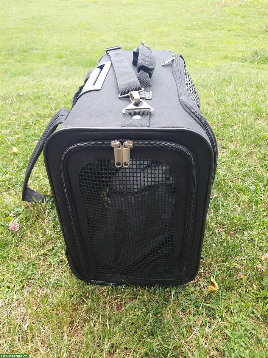 CZ Karlie Tragetasche Smart Trolley, für kleine Hunde & Katzen