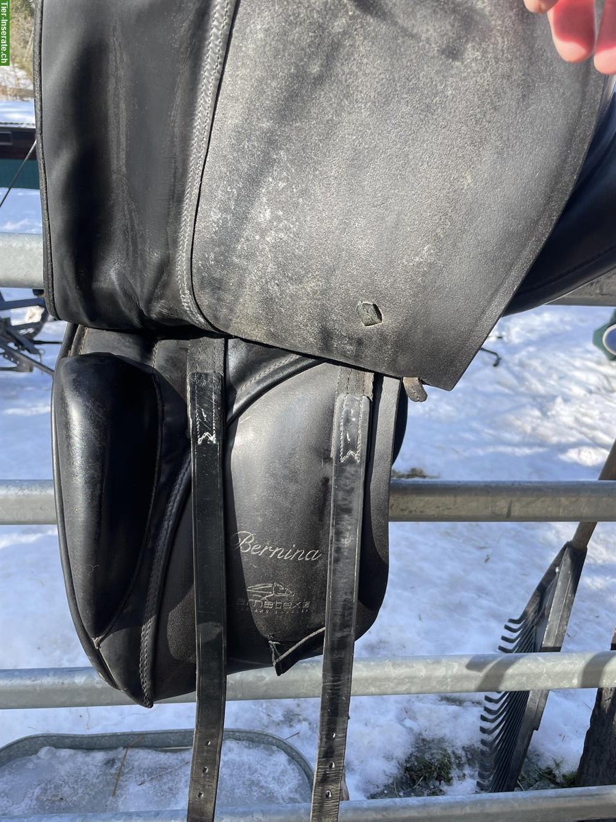 Bild 2: Lemetex Dressursattel in top Zustand zu verkaufen