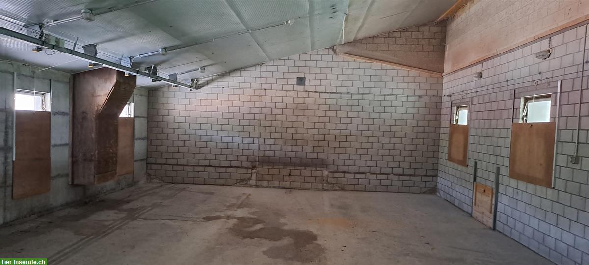 Lagerhalle/-Raum zu vermieten in Villmergen AG