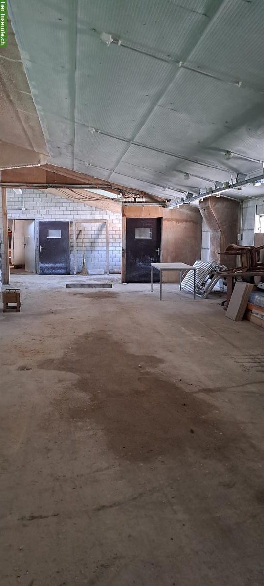 Bild 3: Lagerhalle/-Raum zu vermieten in Villmergen AG