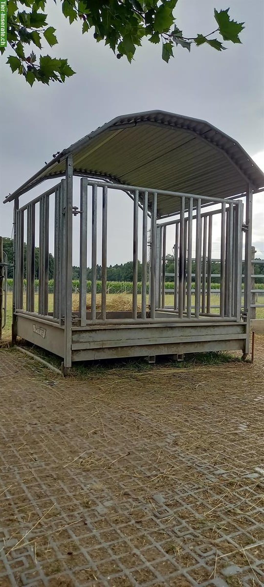 Heu Futterraufe mit Sicherheitsfressgitter