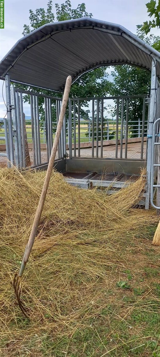Bild 2: Heu Futterraufe mit Sicherheitsfressgitter