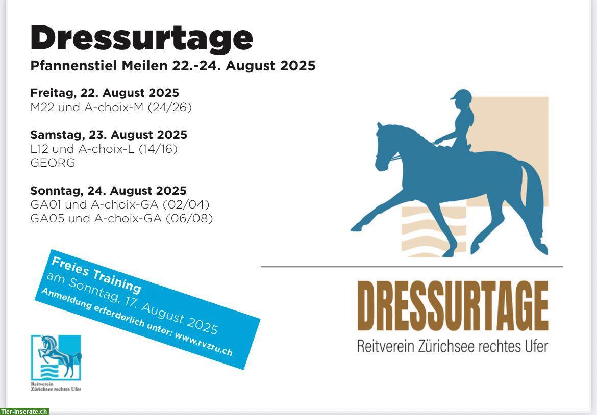 Dressurtage Reitverein Zürichsee Rechtes Ufer