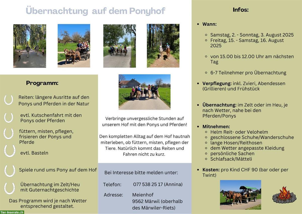 Übernachtung auf dem Ponyhof im Thurgau
