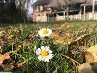 Vermieten 2-Zimmer Wohnung im Grünen, Nähe Frauenfeld TG
