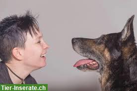 Persönlichkeitsbildung gegenüber dem Hund