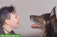 Persönlichkeitsbildung gegenüber dem Hund