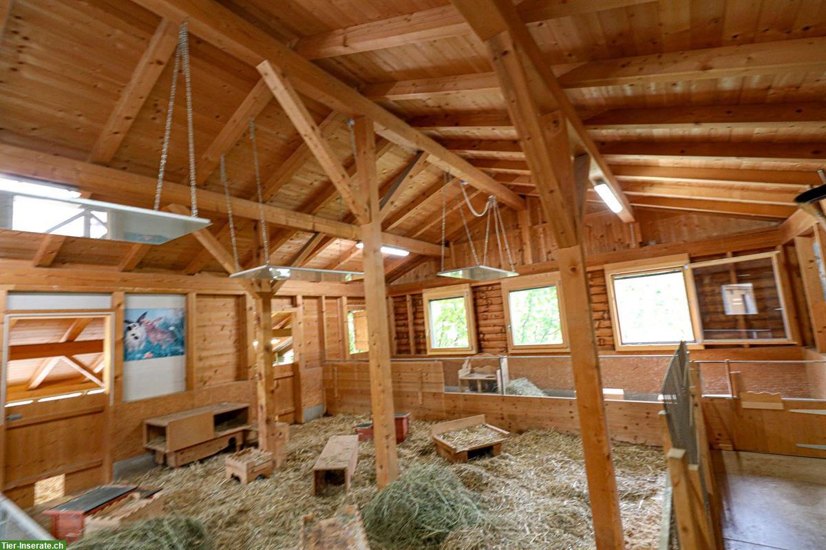 Bild 2: Grosses, freistehendes Einfamilienhaus, viel Umschwung für Tierfreunde