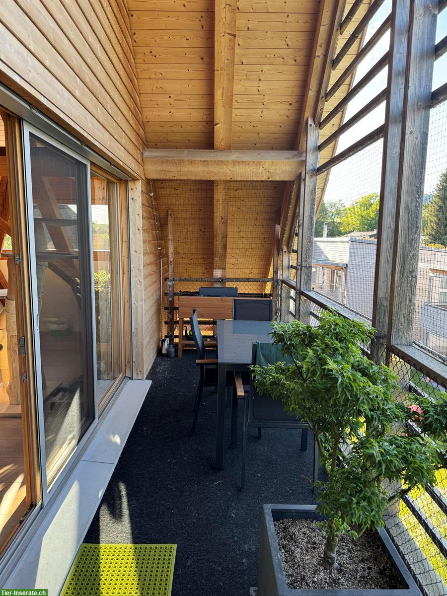 Bild 6: Wohnung Nachmieter gesucht - moderner Bauernhof - Konolfingen BE