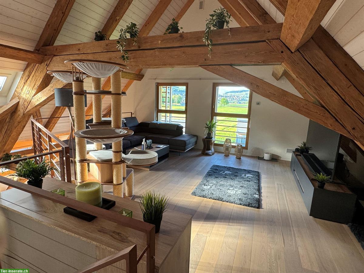Bild 8: Wohnung Nachmieter gesucht - moderner Bauernhof - Konolfingen BE