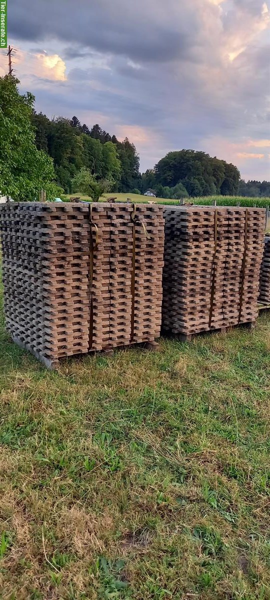 Paddockplatten Lochplatten zu verkaufen