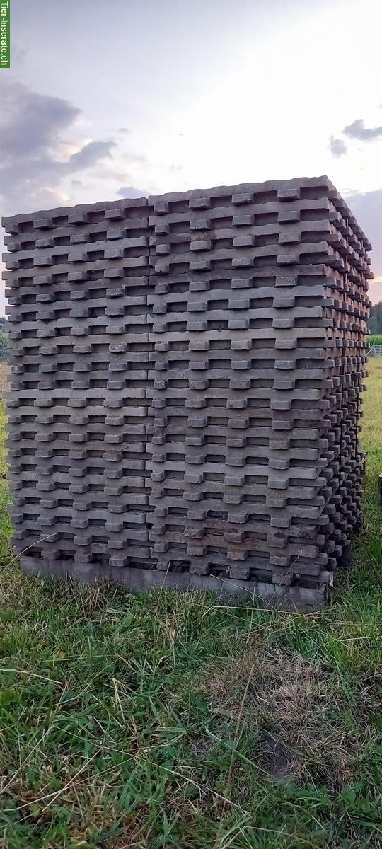 Bild 2: Paddockplatten Lochplatten zu verkaufen