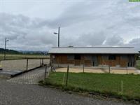3 Pferdeboxen / Auslaufboxen zu vermieten, Schlatt TG