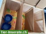 Bild 3: Kleintier Transportbox, wenig gebraucht