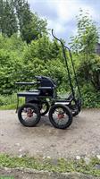Kutsche / Marathonwagen zu verkaufen