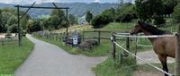 Suchen Stallaushilfe, Morgenstall, ca. 4h/Tag, flexibel, Adliswil ZH