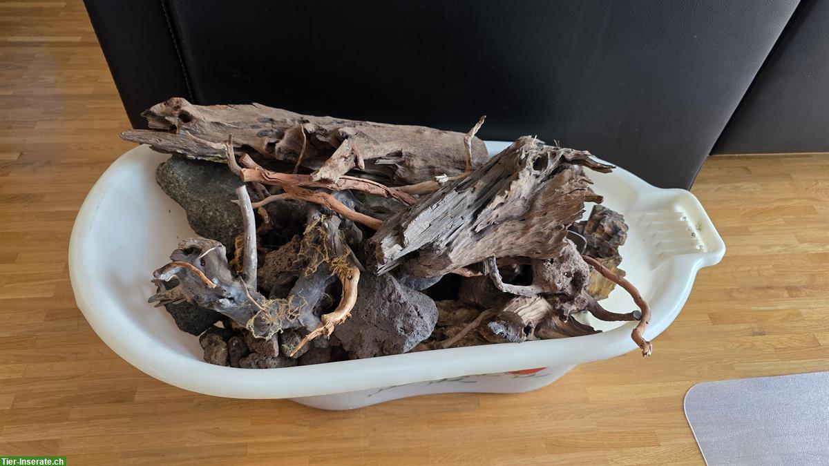 Bild 4: Leere Aquarien inkl. vieles an Zubehör für Aquascaping