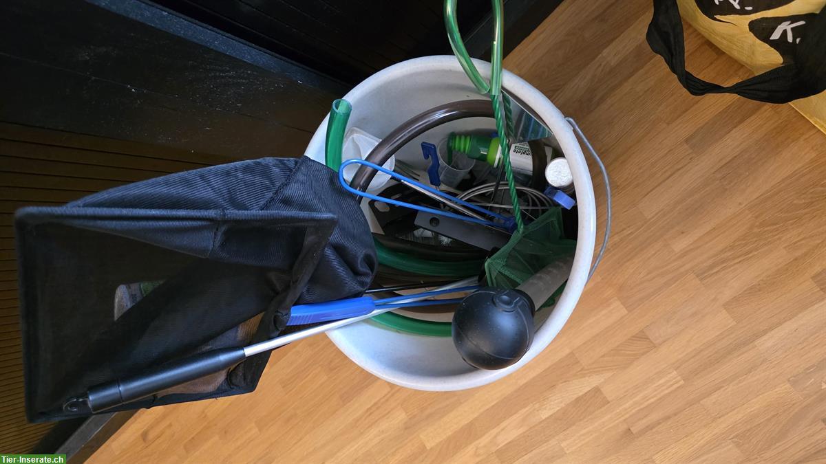 Bild 7: Leere Aquarien inkl. vieles an Zubehör für Aquascaping