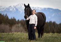 Biete mobilen Reitunterricht, Beritt, Bodearbeit, klassische Dressur