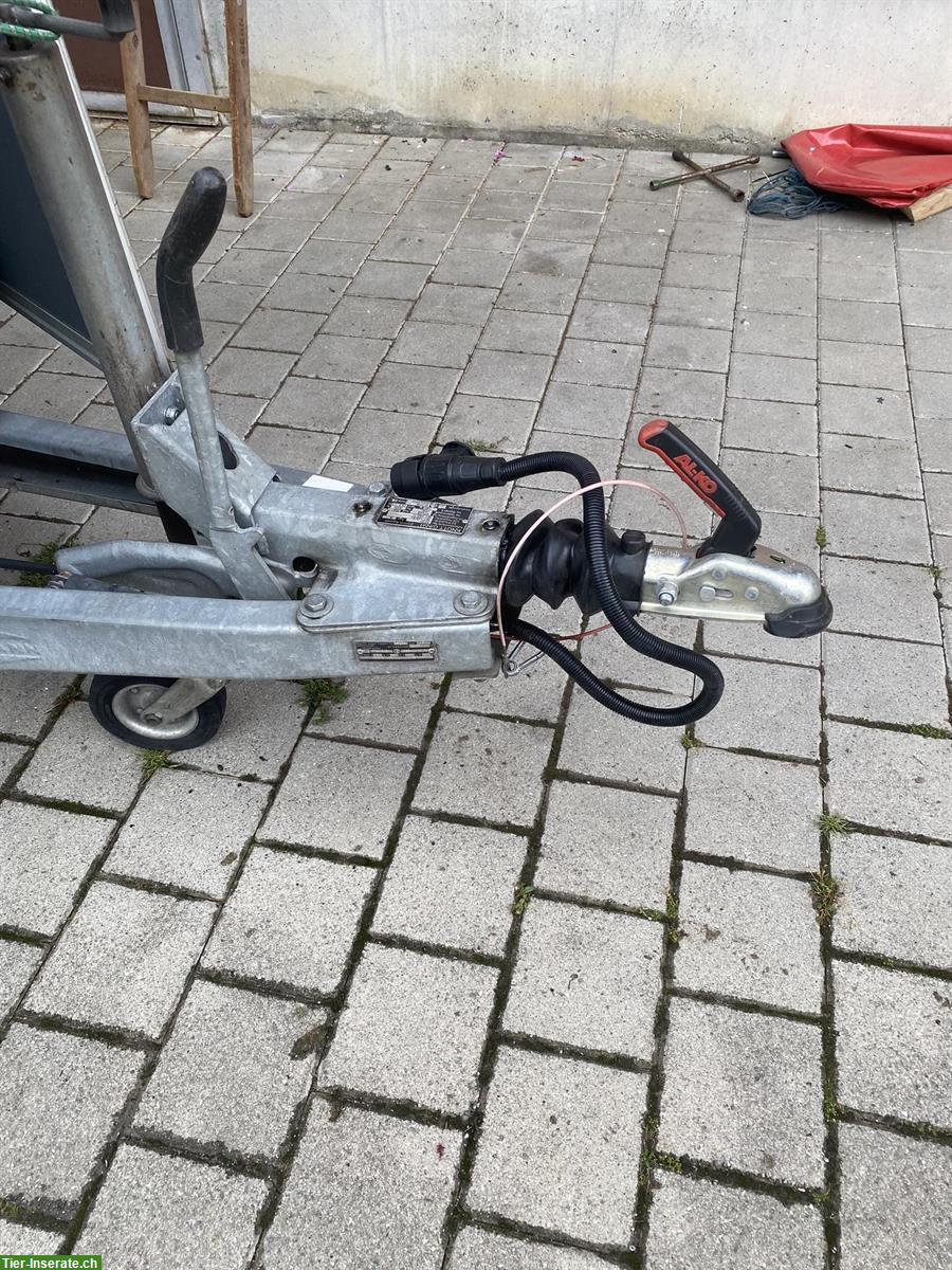 Bild 5: 2er Pferdeanhänger Böckmann PHA zu verkaufen