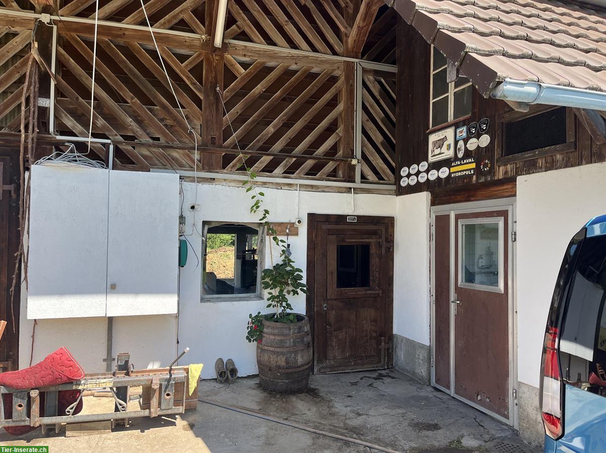 Selbstversorgerstall für Alpakas, Ziegen, etc auf Bio-Hof, Kanton Zug