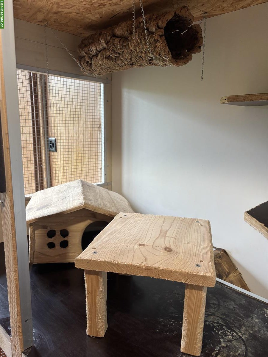 Bild 2: Massiver Chinchilla- / Nagerkäfig zu verkaufen