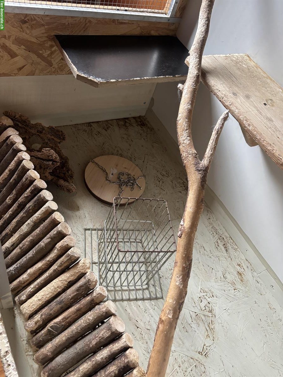 Bild 3: Massiver Chinchilla- / Nagerkäfig zu verkaufen