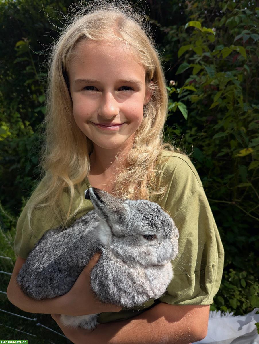 Bild 3: Liebevolle Betreuung für Nagetiere