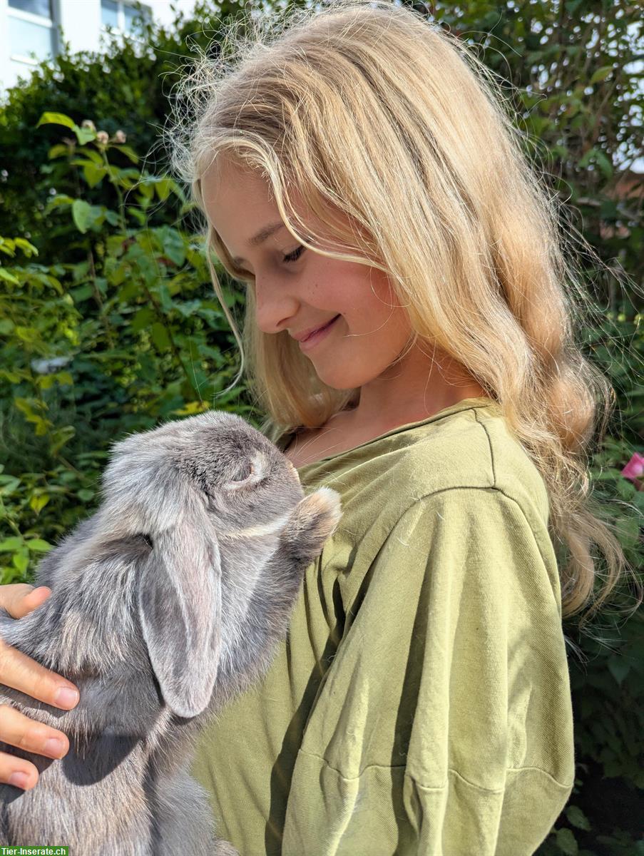 Bild 5: Liebevolle Betreuung für Nagetiere