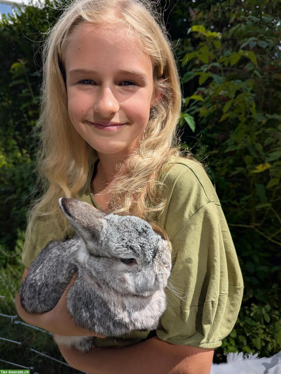 Bild 6: Liebevolle Betreuung für Nagetiere