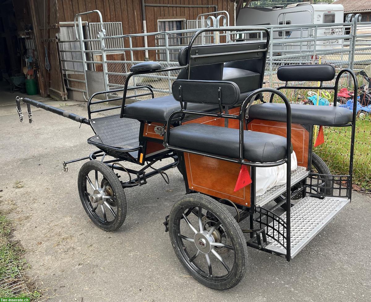 Tolle Ponykutsche zu verkaufen