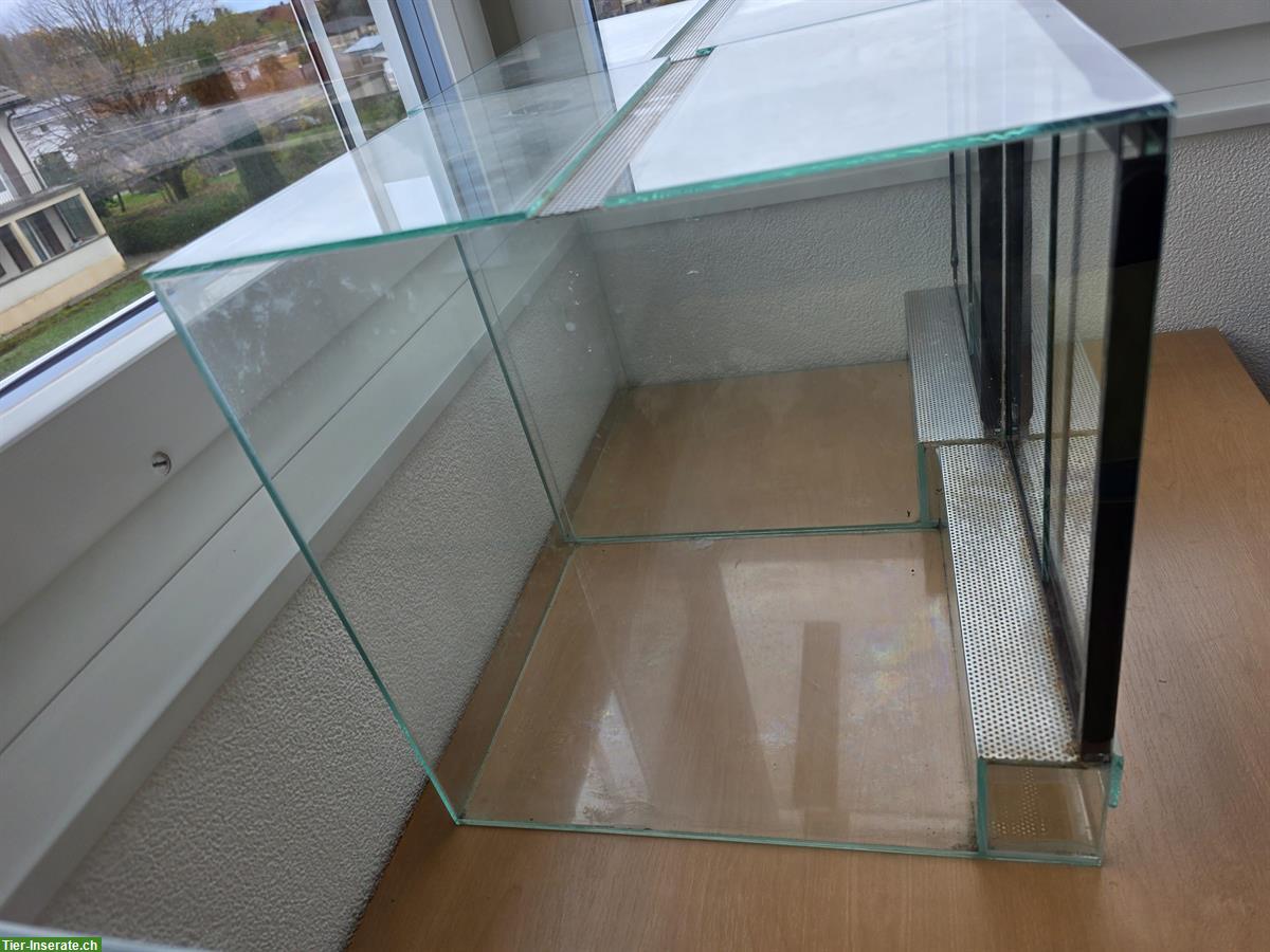 Bild 2: Diverse Glasterrarien zu verkaufen