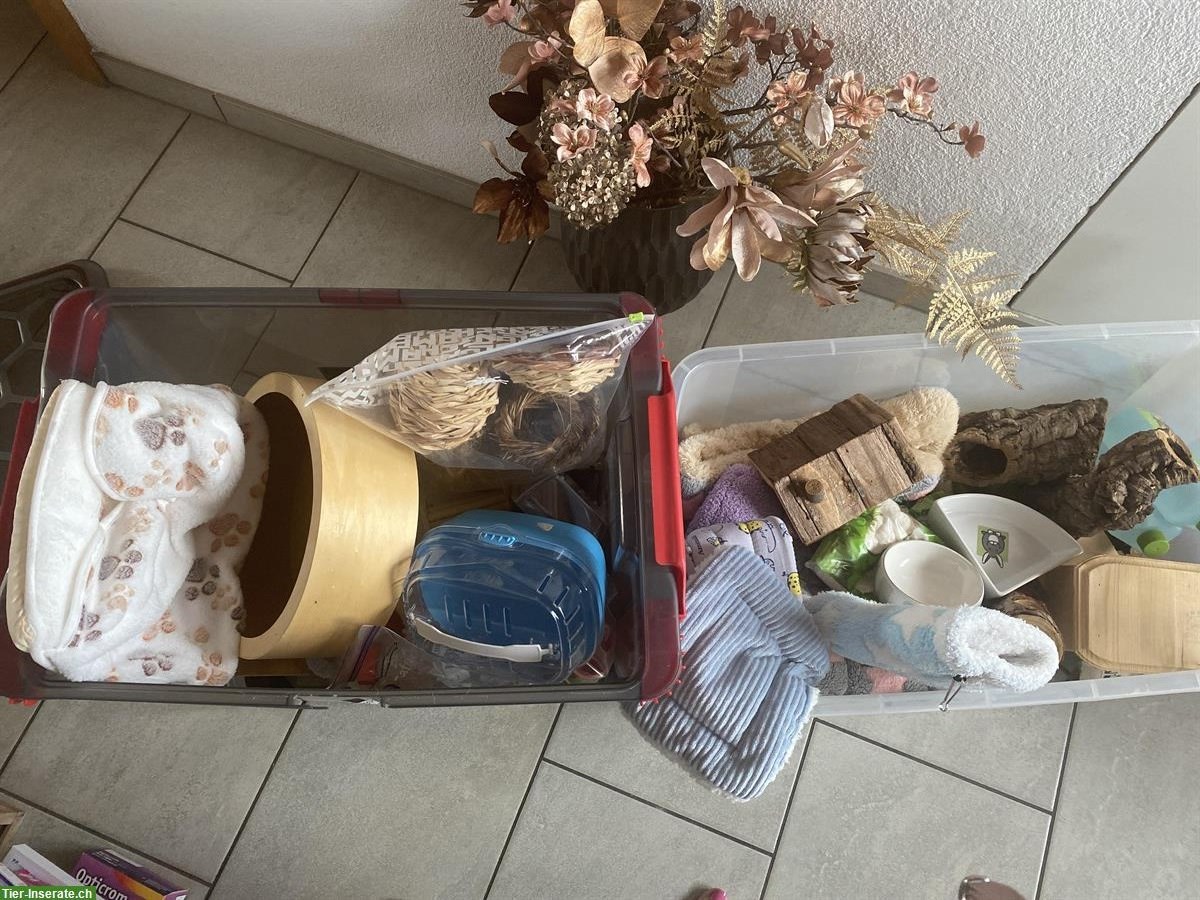 Diverses Hamsterzubehör zu verkaufen