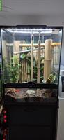 Komplettes Exo Terra Terrarium mit Geckos