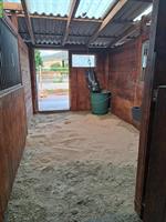 Auslaufbox frei per 1. Oktober in Montlingen SG