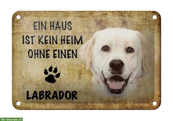 Bild 2: Blechschild: Ein Haus ist kein Heim ohne einen LABRADOR