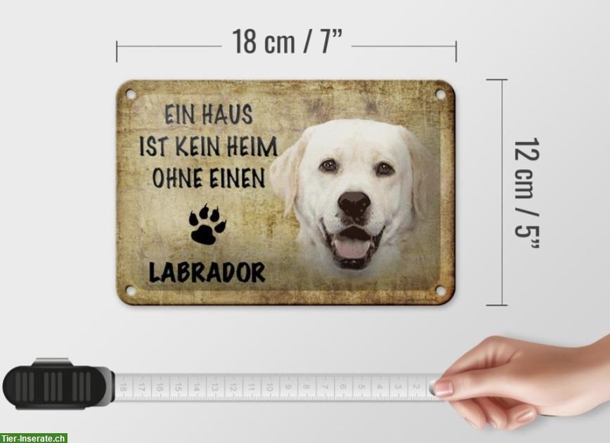 Bild 3: Blechschild: Ein Haus ist kein Heim ohne einen LABRADOR