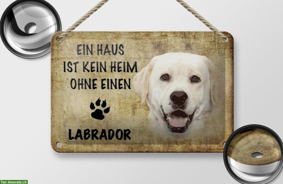 Bild 4: Blechschild: Ein Haus ist kein Heim ohne einen LABRADOR