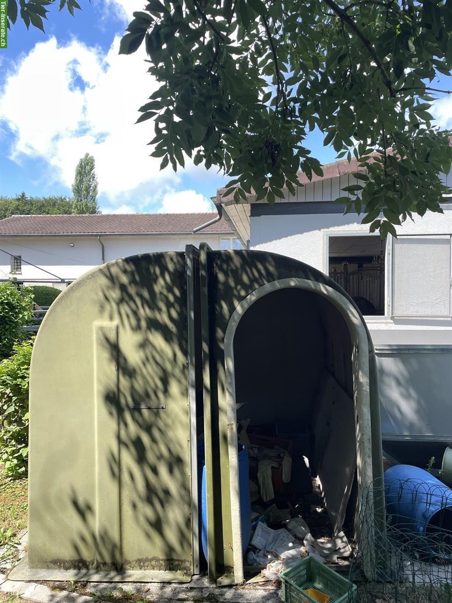 Bild 2: Pferde(boxe) / Unterstand (Iglu) zu verkaufen