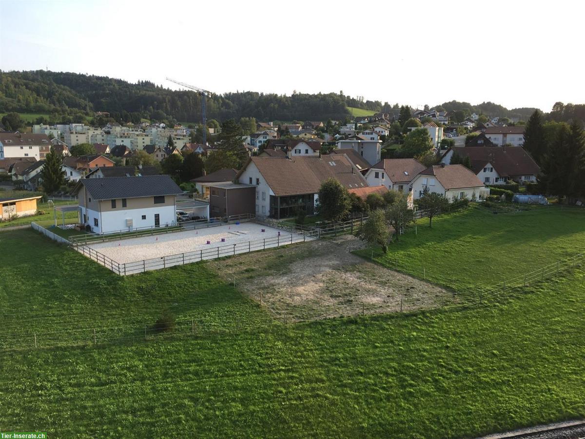 Bild 2: Platz in Offen-/Gruppenstall in Safenwil mit Reitplatz