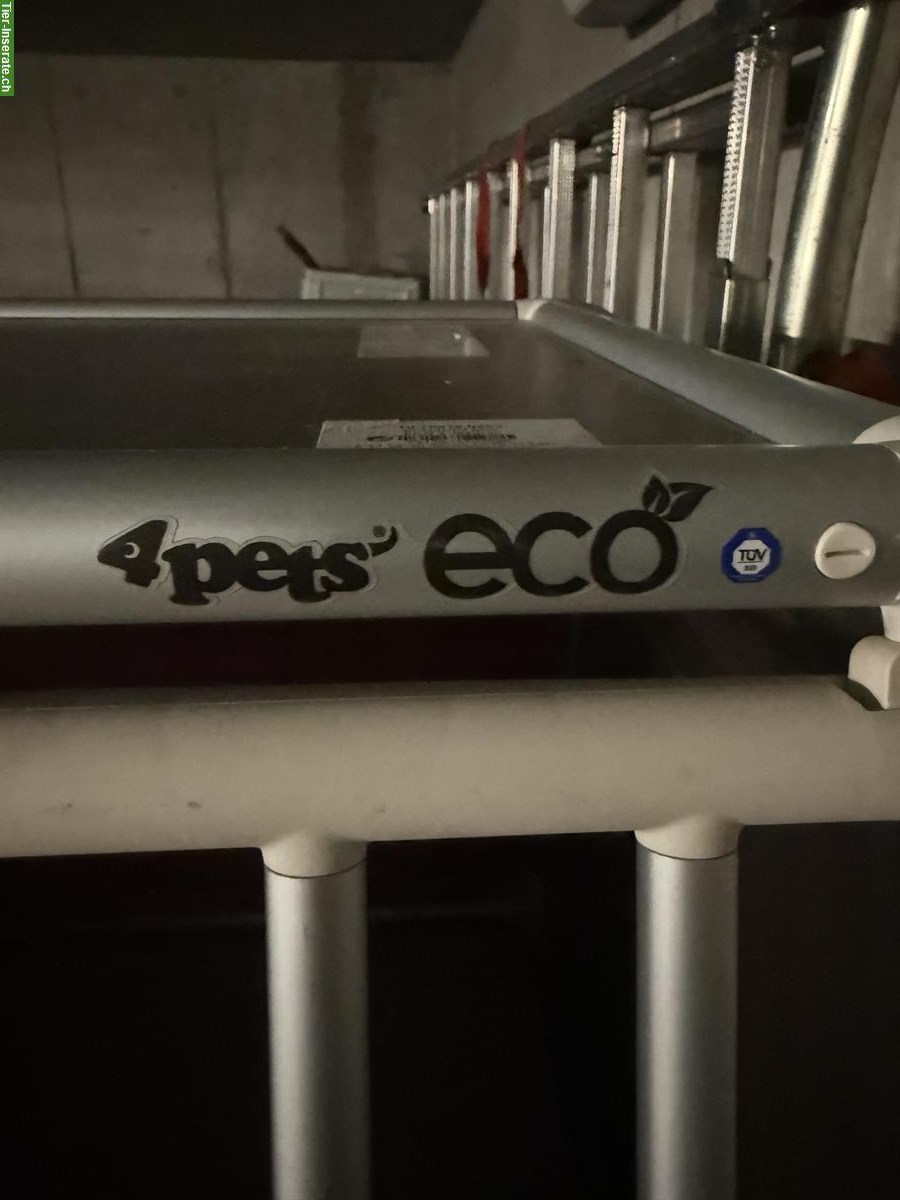 Bild 5: 4pets Eco Hundebox zu verkaufen