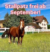 1 Platz frei im 2er Offenstall in Kichleerau auf den 1. September