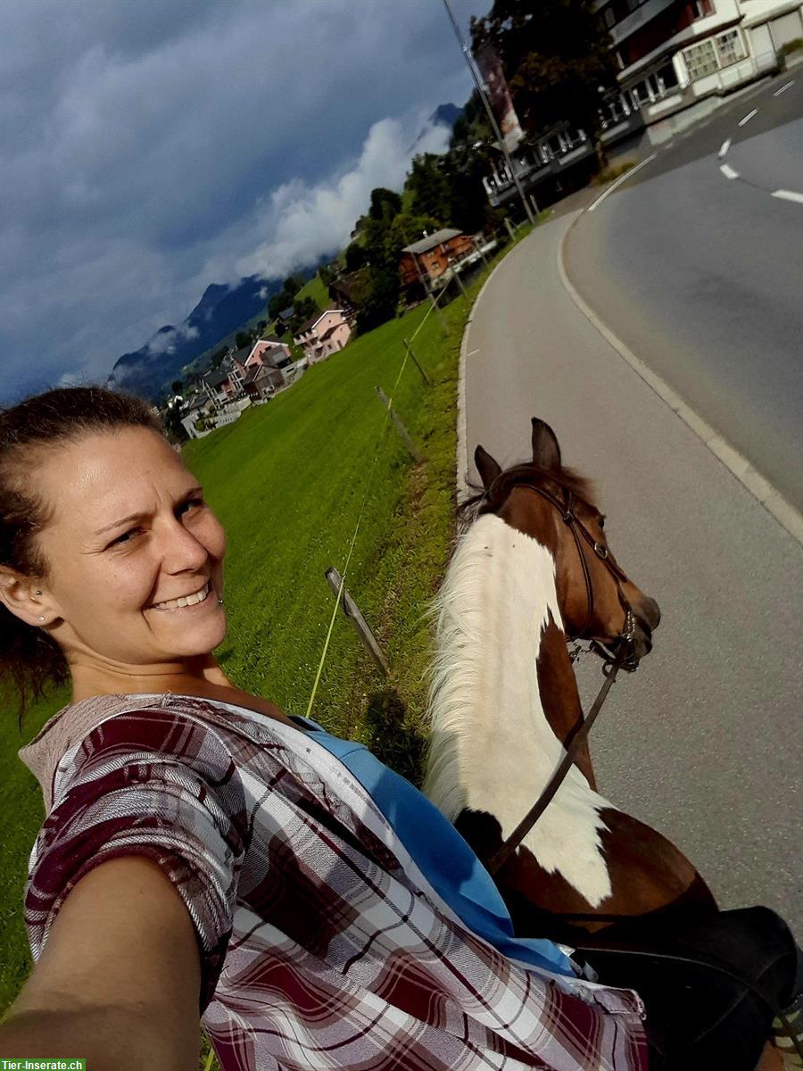 Bild 2: Pflegebeteiligung/Reitbeteiligung GESUCHT, Raum Grabs SG