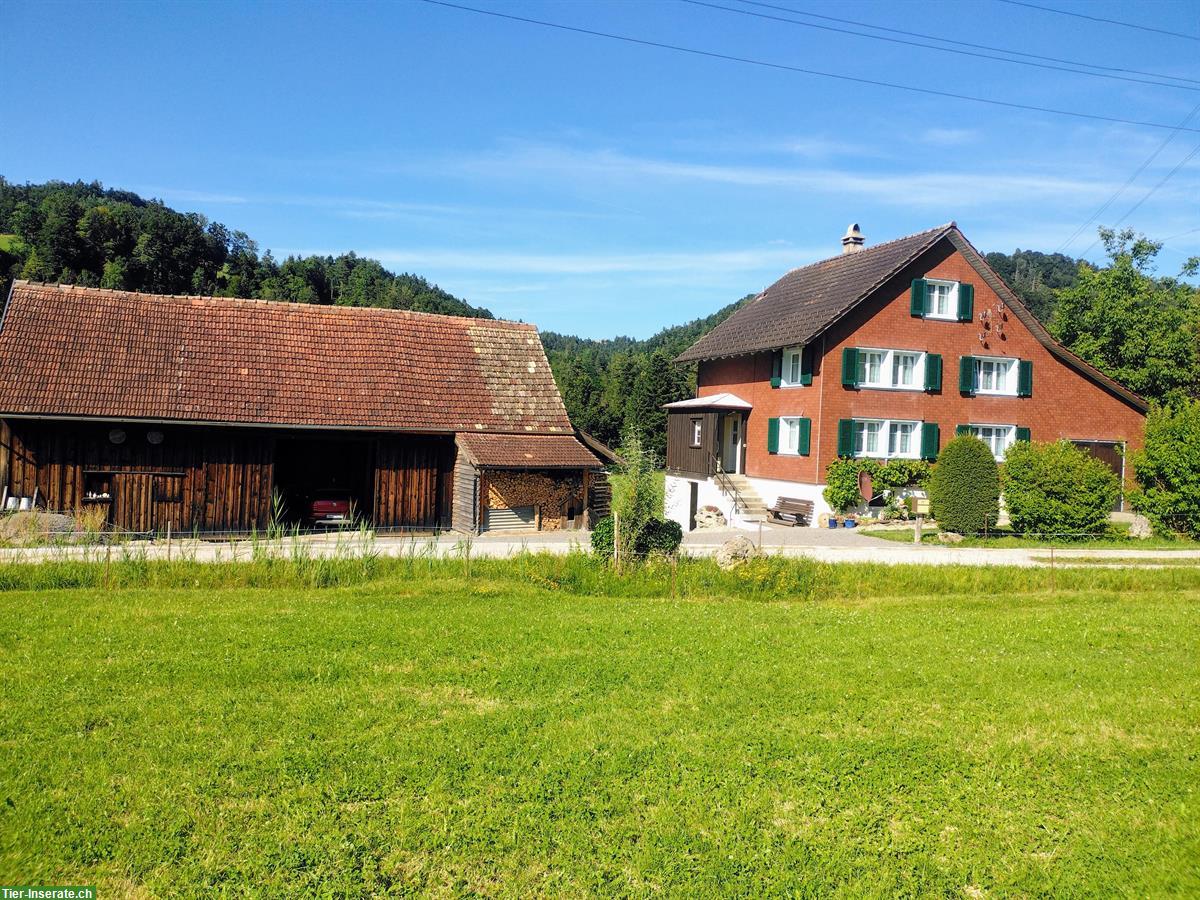Alleinstehendes Bauernhaus mit Scheune im Unteren Toggenburg