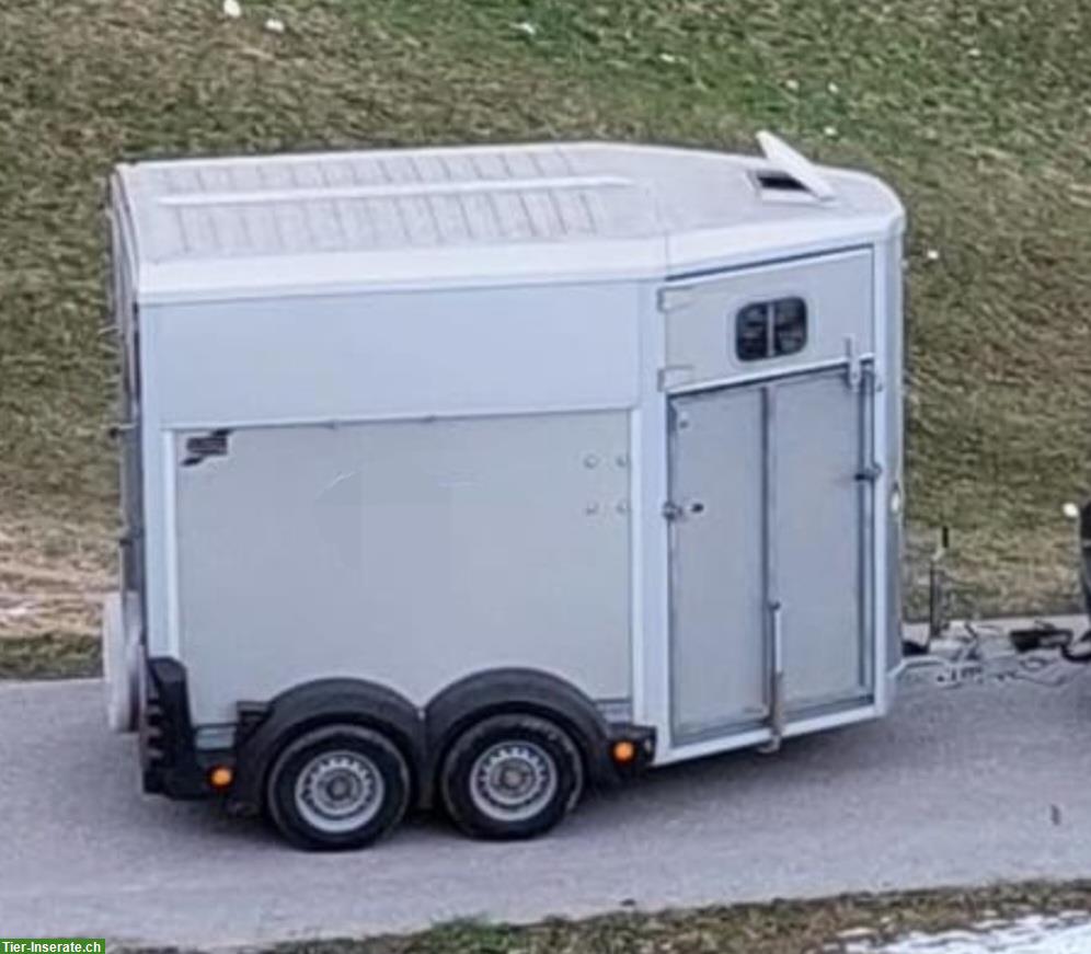 Pferdeanhänger Ifor Williams HB506 zu verkaufen
